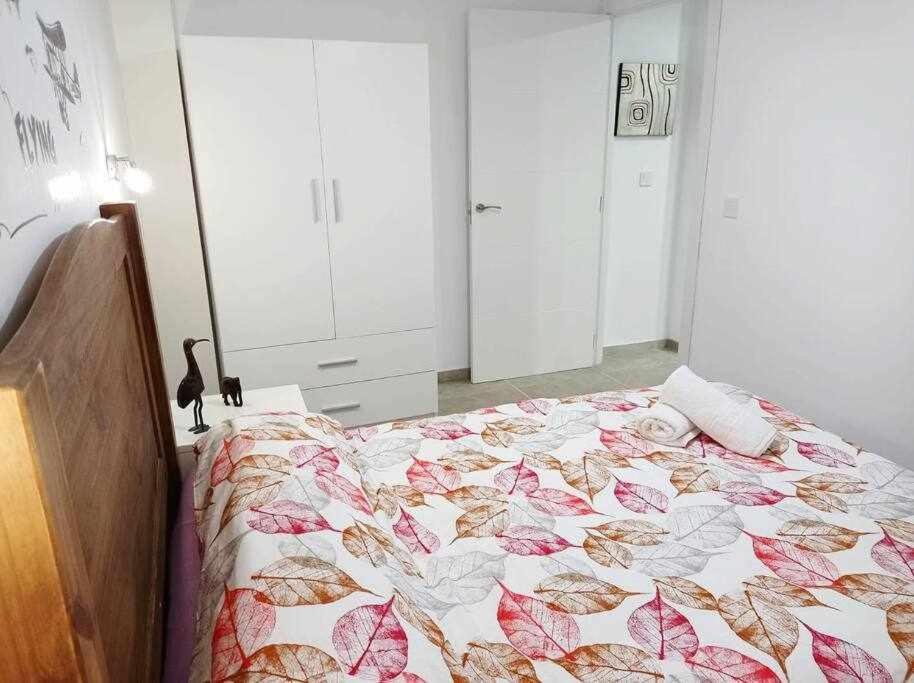 Apartamentos Full Equipped 엘체 외부 사진